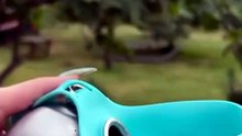 Portable Pet Water Bottle – Leak-Proof Travel Water Bowl for Dogs 🐾