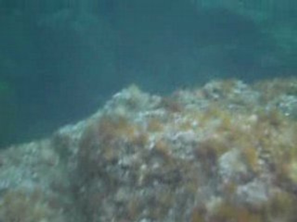PICT0063