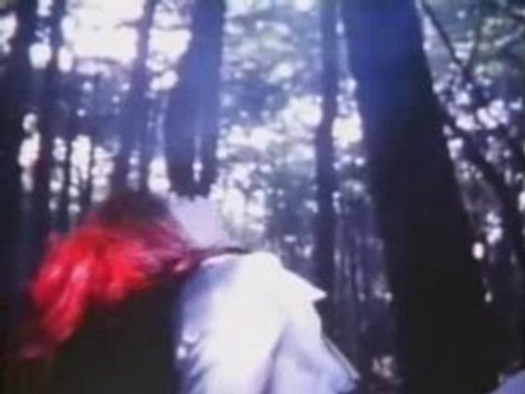 Luna Sea - Providence Pv