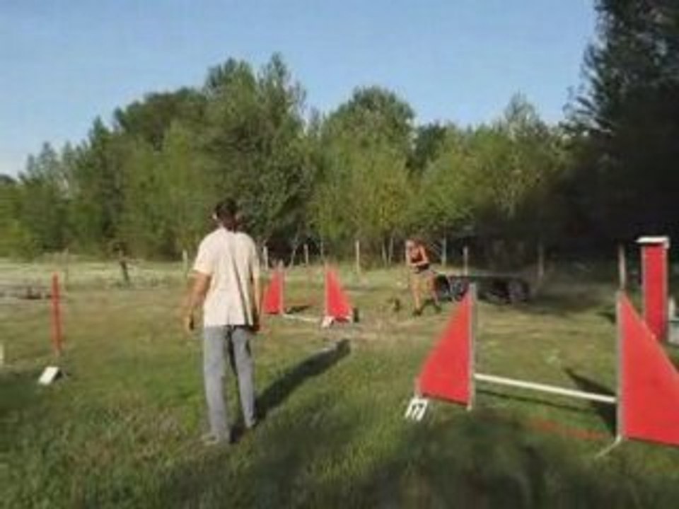 Biki entrainement agility