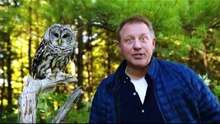 Wild Kratts - Owl Odyssey