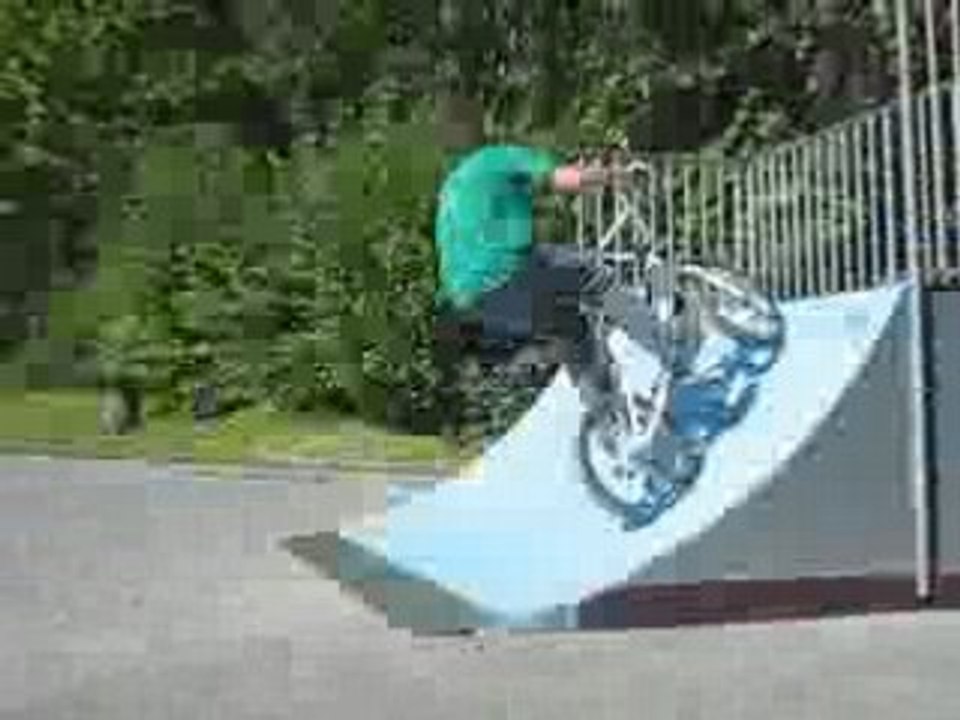 Whip aerial to ratrapage