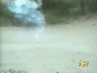 Hot Dog Hot Hot 🌭