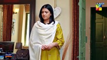 Judwaa - Episode 39 - 23rd April 25 [ Aina Asif  Adnan Raza Mir ] Berg Prickly Heat Powder - HUM TV