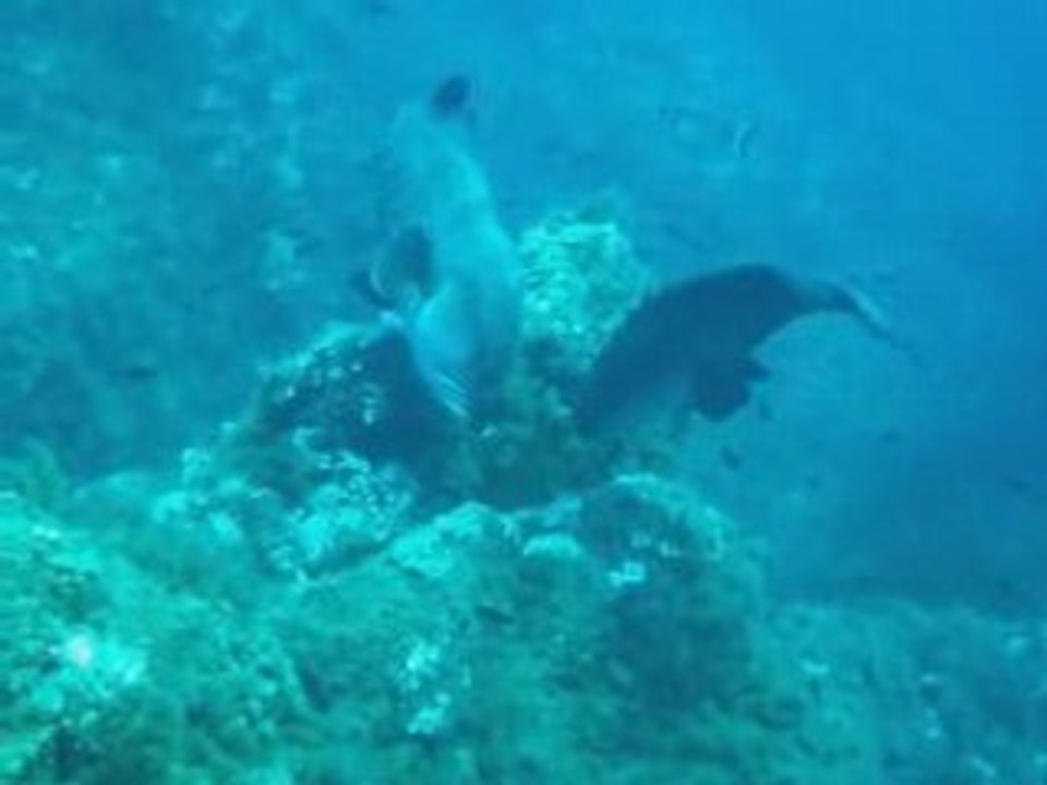 Boudoff under water