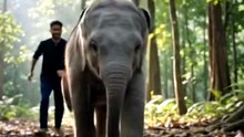 NGOs call on Vantara to end all wild animal imports permanently - news - Mongabay