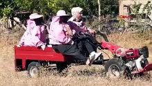 Van'da 'Pembe maskeli’ kadın arıcılar hasada başladı