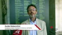 Arte, curatore Rebecchini: "A Palazzo Te in mostra cos'era la natura nel Cinquecento"