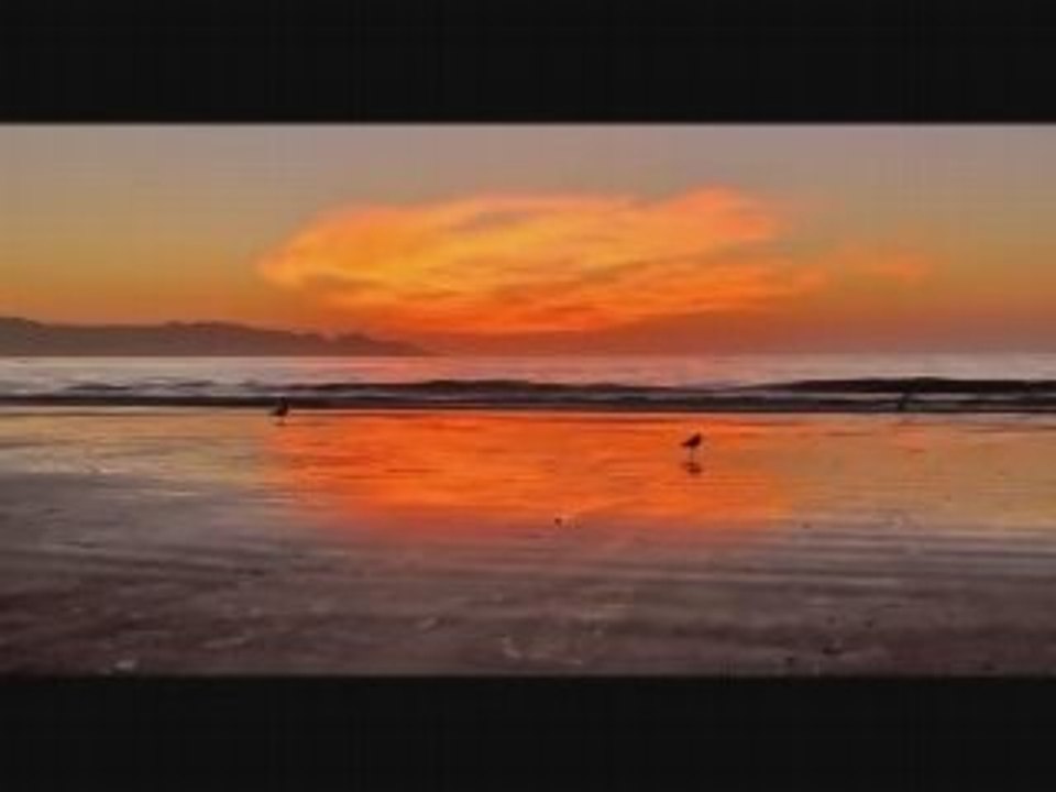 Paulo Olarte - Solo Tu