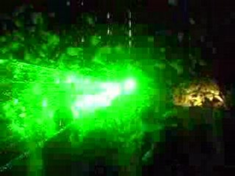 Bal hawaien Olne 2008