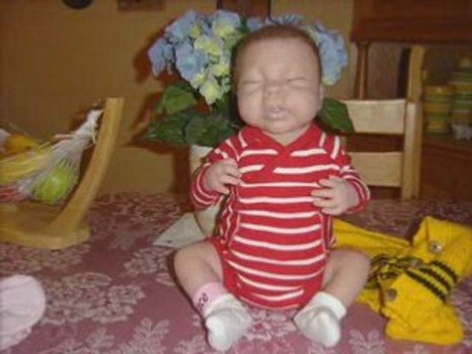 Dolly2_2008