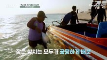 첫 어획량만 200마리?! 해변을 뒤덮은 참치