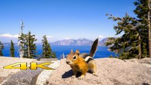 Crater Lake 4K – Virtual Walk Through Oregon’s Deep Blue National Park with Nature Sounds
