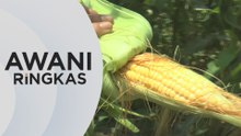 AWANI Ringkas: FAMA tubuh jawatankuasa jamin stok bekalan makanan negara