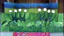 48回27番 タンポポの綿毛