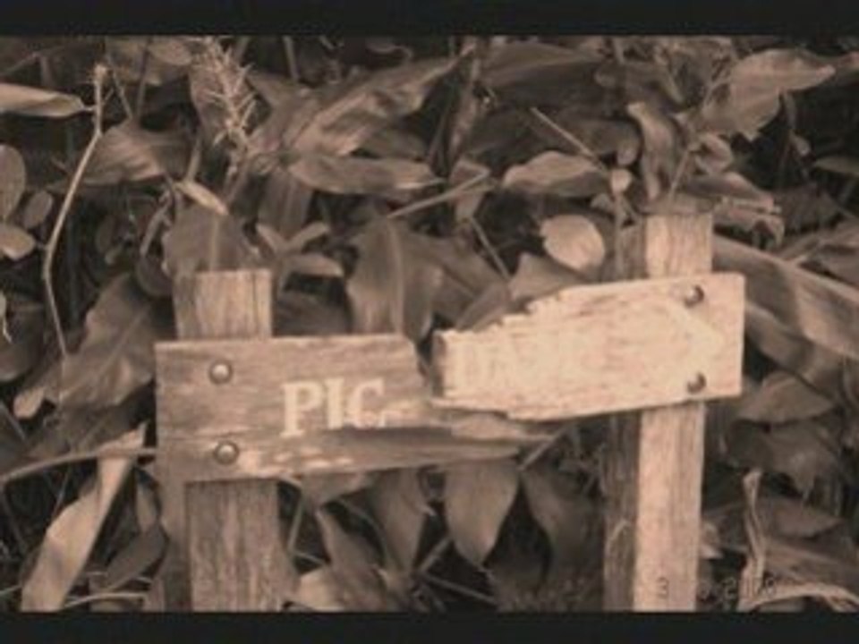 OVS REUNION RANDO PIC ADAM