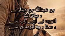 پیاسے کتے کو پانی اور جنت کا انعام! 🐾💧 | صحیح بخاری 173