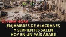 Urgente: aparecen reptiles peligrosos en un país árabe ¿a qué se debe?