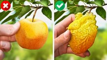 Simple gardening tricks and clever plant hacks
