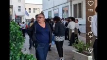 Gli scherzi della pianta finta