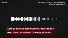bunknown-63ee2f23d0c71f5-0000000000000210_p0pcgmjw_cunknown_1790333430378.mp4