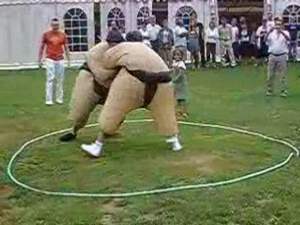 combat amical de cousins sumo !!!