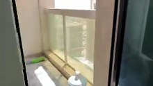 🔥🔥 **2BR + BALCONY | OPEN VIEW | PREMIUM FINISHING | FREE GYM, POOL & PARKING | AL MAJAZ 2 | AED 55K** 🔥🔥  🏡 **2BR Apartment for Annual Rent in Al Majaz 2 – Jamal Abdul Nasser Street**  A well-appointed apartment with **premium finishing, open views,