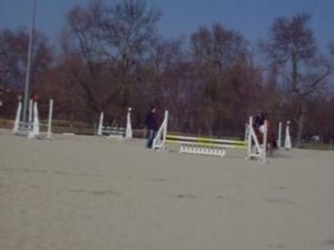 marion et galopin cso envt n°1...chute