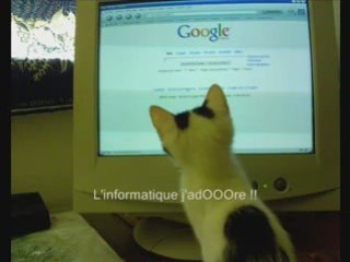 Les Aventures de Lily le Chat - Tome 1