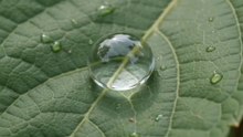 What Lives Inside a Drop of Water? 🔬💧