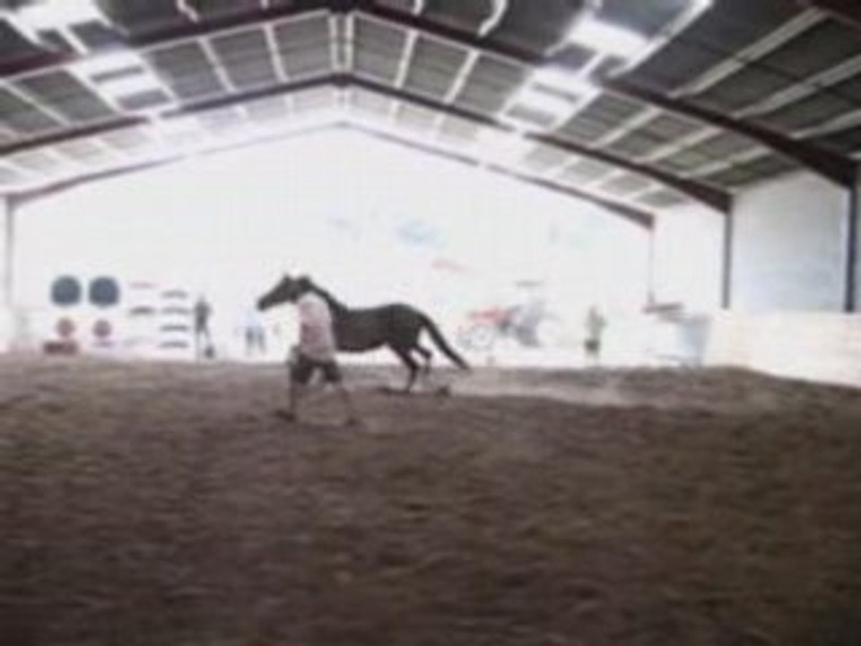 Rizanga du tel saut en liberté