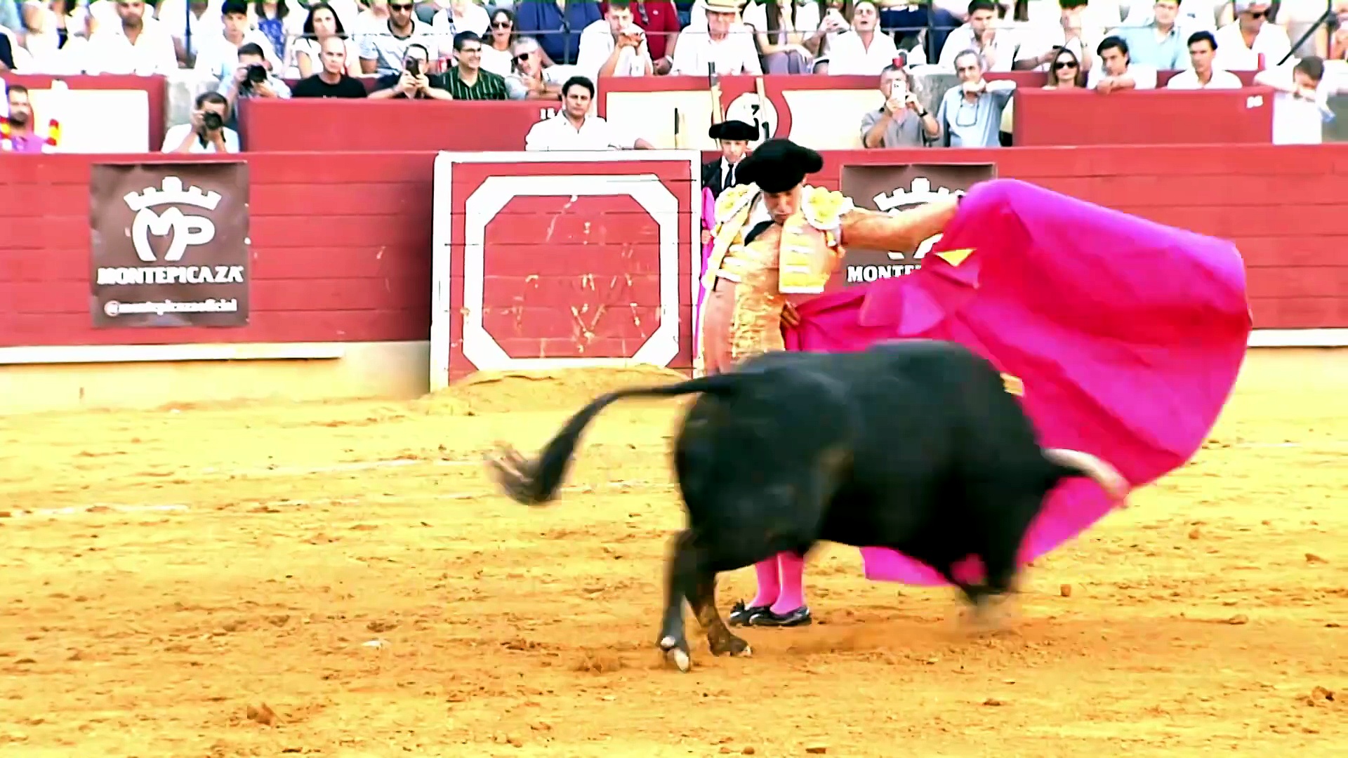 Festejos de verano como Guijuelo, Toro, Astorga, Peñaranda, Málaga, entre otros