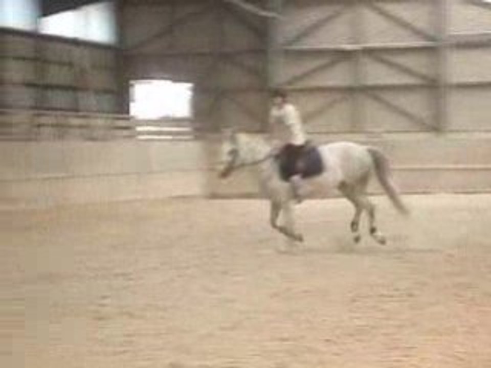 MOV07349