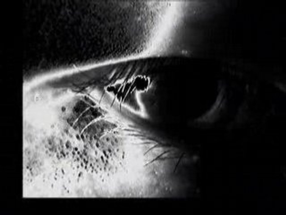 Envy - Left Hand