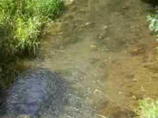 LANQUES SUR ROGNON LE ROGNON