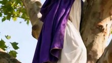 🔥 **JESÚS SE DETUVO POR EL HOMBRE QUE TODOS DESPRECIABAN… Y DIJO SU NOMBRE 😱🙏**