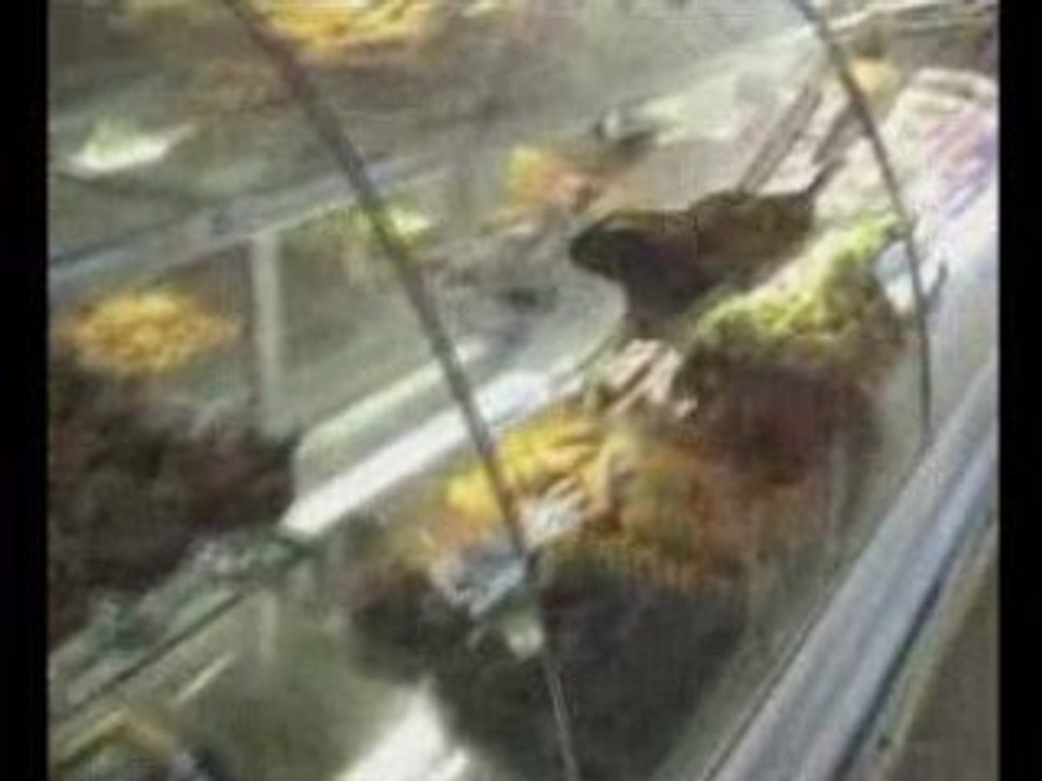 Burçak pastanesi -TOKAT