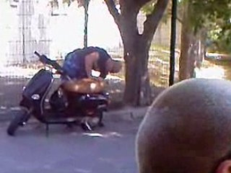 pompo