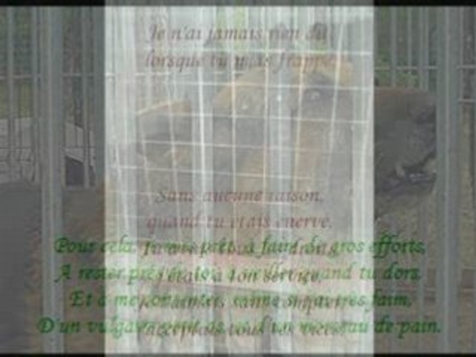Lettre à mon maître