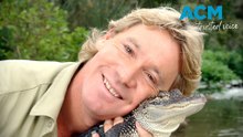 'Never the animal's fault': unearthed footage reveals the real Steve Irwin