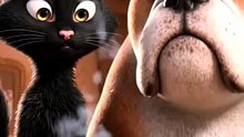 Cat & Dog 😂🐱🐶  1 Million+ Views! 🔥❤️