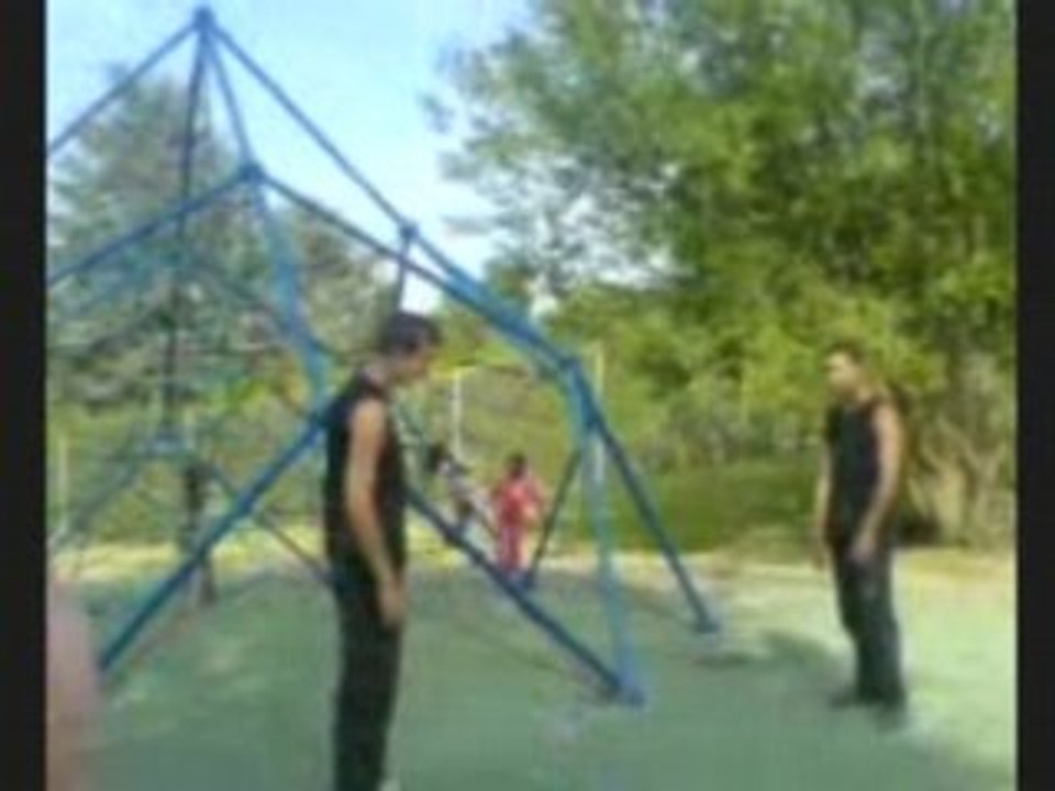 Team-dragons BONUS 2