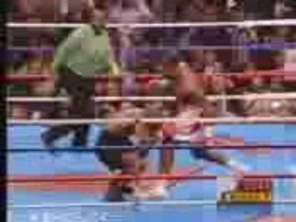 Tyson vs Lewis