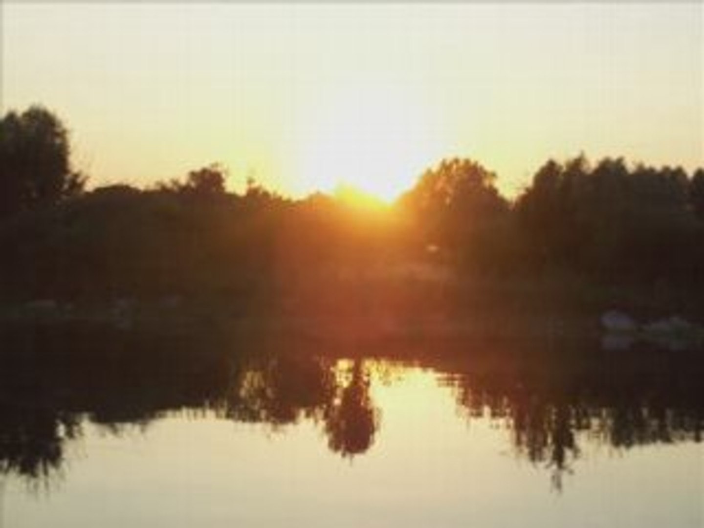 ⁣Couchés de soleil au lac du der