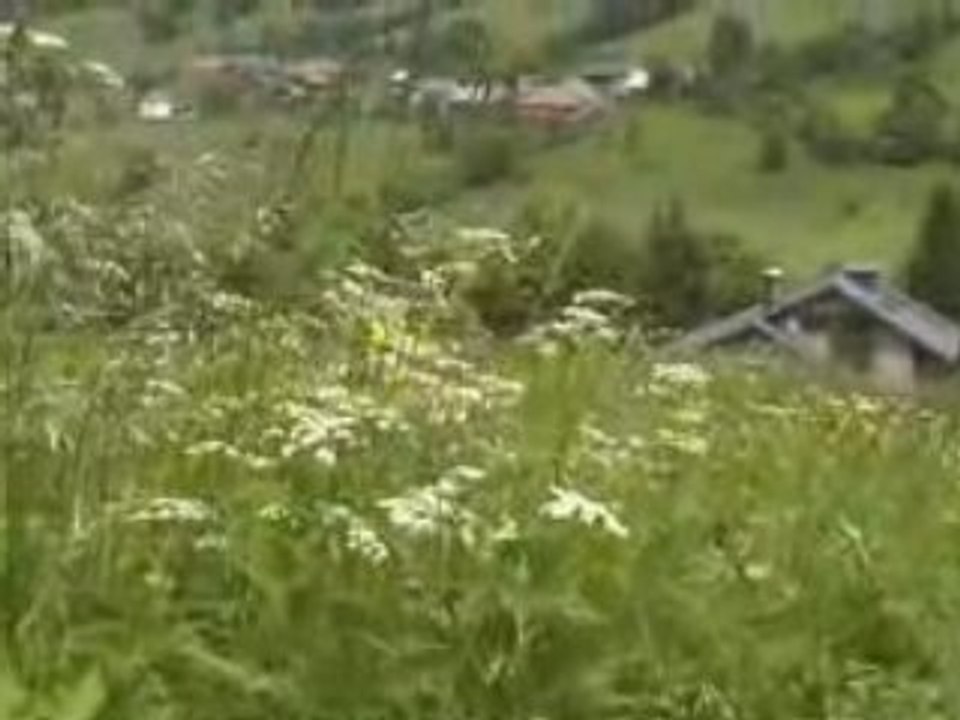 Paysages