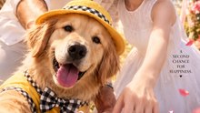 He Abandoned My Dog, I Chose His Best Friend | Best Friend Romance