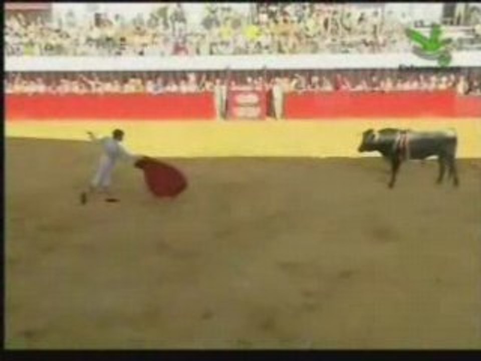 Carlos Guzmán 1º Miuras Moraleja