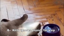 Ranking bests (Catculations)