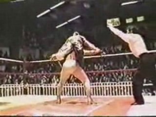 Rey Mysterio vs El Hijo Del Santo 21/2/97 pt2