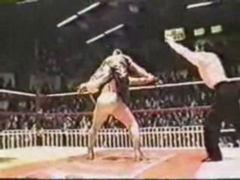 Rey Mysterio vs El Hijo Del Santo 21/2/97 pt2